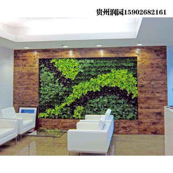织金立体植物墙施工、立体绿化、仿真园林设计工程【绿植软装公司】