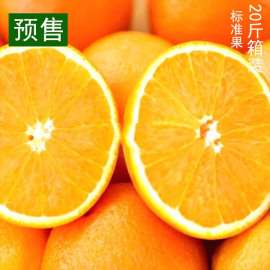 预定江西赣南脐橙肚脐橙 超甜新鲜现摘橙子 自家果园种植水果批发