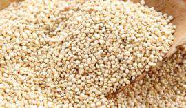 玻利维亚进口有机藜麦